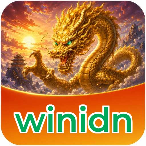Troubleshooting winidn